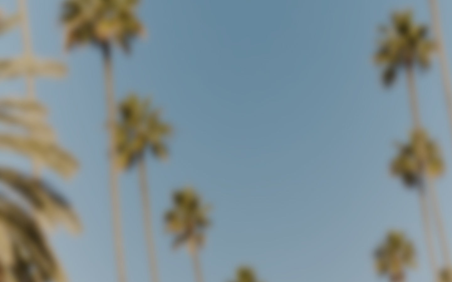 Mood Banner Picture